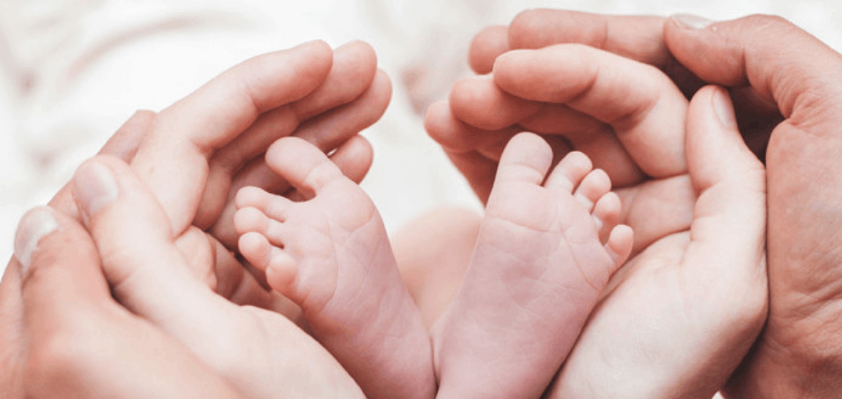 egg donation services