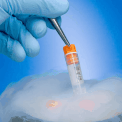 egg freezing services