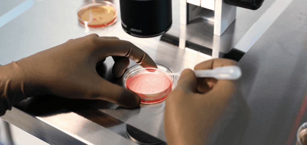 ivf embryo trasfer services