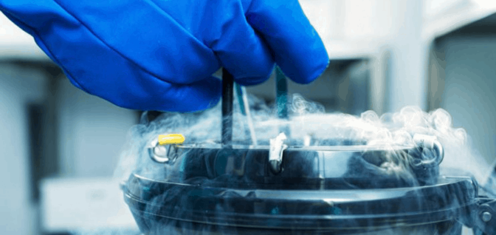 Embryo Cryopreservation services
